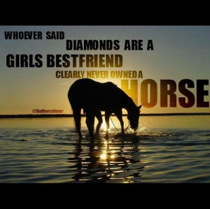 Related Pictures barrel racing quotes picture