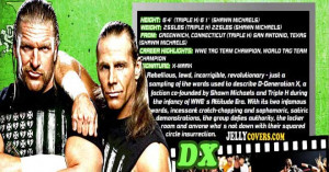 DX WWE Facebook Covers