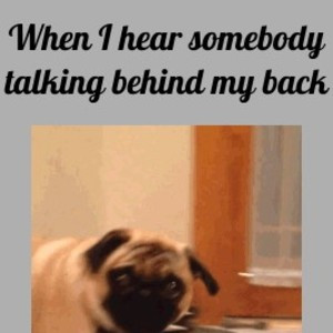 when-i-hear-somebody-talking-behind-my-back_fb_1374957.jpg