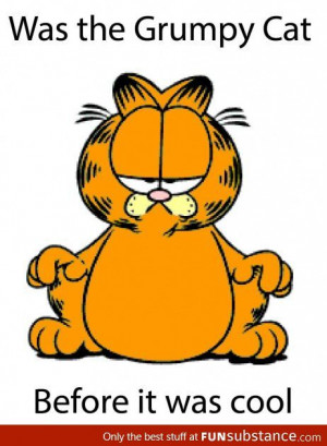 Garfield: The original grumpy cat