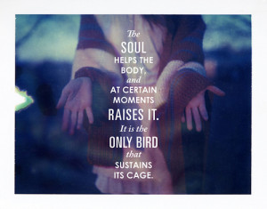 Soul Quotes (21)