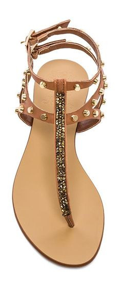 Vince Camuto More