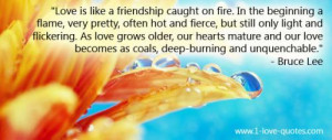 Love is like a friendship caught on fire. In the beginning a flame ...