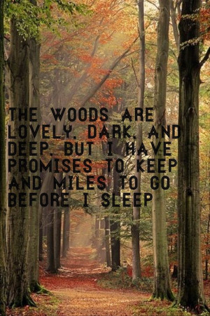 Not a quote I would have associated with running through the woods ...
