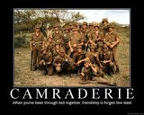 camaraderie quotes in all quiet on the western front