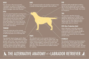 based on empirical evidence, i concur.