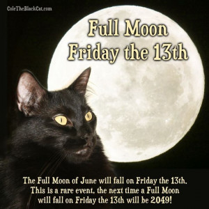 ... cat friday the 13th quotes happy friday the 13th friday the 13th quote