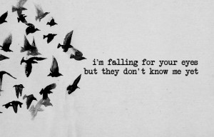 beauty, birds, ed sheeran, eyes, give me love, life, lyrics, music ...