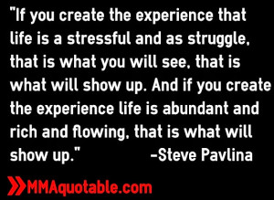 steve+pavlina+quotations+life+law+of+attraction+quotes.jpg