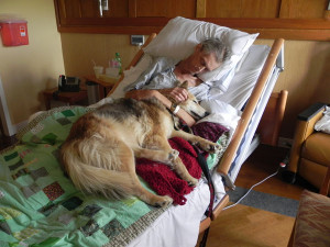 dying man’s last wish: To see his dog