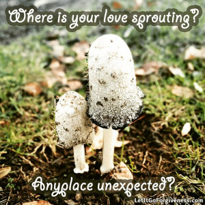 Let your love sprout in unexpected places