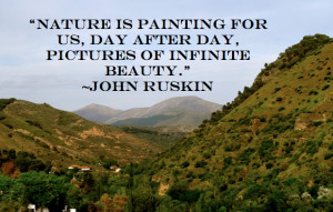 completely agree with this quote from John Ruskin. I truly feel that ...