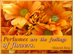 Flower Quotes HD Wallpaper 15