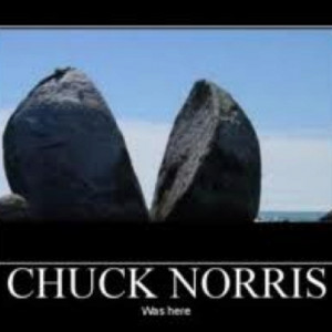 Kids Love Chuck Norris Jokes Right Now