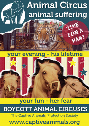 domestic circus animal leaflet circuslflt11 dom