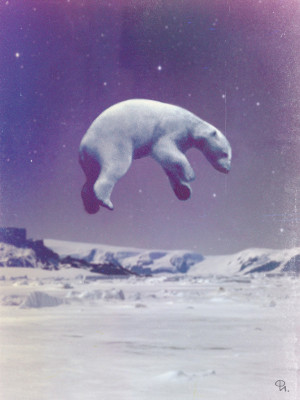 Astro Polar Bear