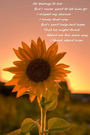 sunflower with insect near sunflower sayings hi sunflower graphic ...
