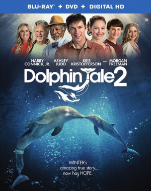 The DVD will include Dolphin Tale 2: True Story