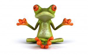 Animal Pictures Frog doing Yoga 540x337 Funny Animal Pictures Frog ...