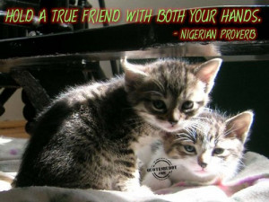 Hold a true friend with both your hands ~ Best Friend Quote