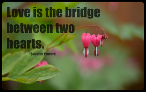 Two Hearts One Love Quotes Love is the bridge between two