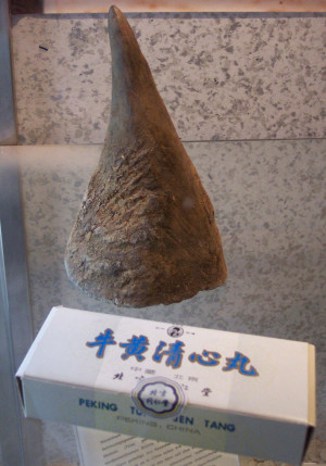 Chinese rhino horns used as an aphrodisiac