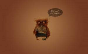 birds coffee humor quotes funny owls orange background / 1920x1200 ...