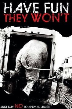 Quotes : circus, zoo, entertainment, delphinarium...