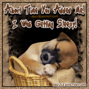 Puppy Sleeping Picture Image Quote