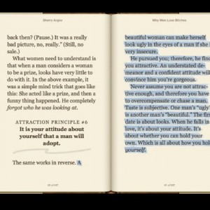 Why Men Love Bitches