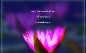 Kindness Quotes Bible Kindness Quotes