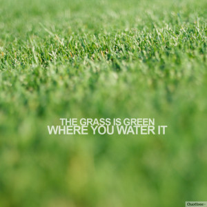 The grass is green where you water it.”