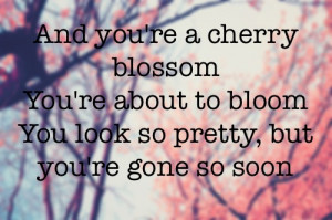 cherry blossom cute fall out boy flowers gone love lyrics moon
