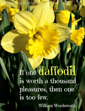Daffodils Quote by Wordsworth & Photos :: AnExtraordinaryDay.net