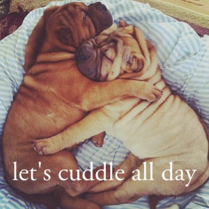 cuddle #pug #puppies @Max Lyon you and me haha