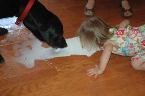 Don't cry over spilled milk...