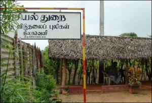 theodore roosevelt quotes political cartoon chef