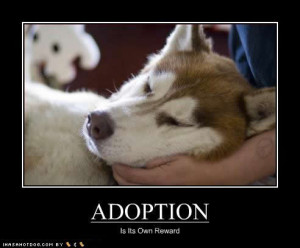 funny-dog-pictures-adoption-reward1