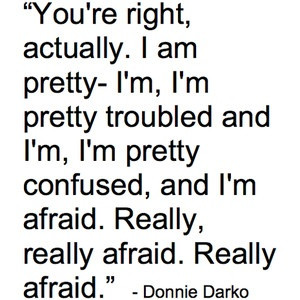 You Loved Donnie Darko, I wish I had a chance to watch it with you now