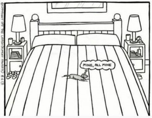 ... bed?? Big Beds, Funny Dogs, Dachshund, Beds Hog, Doxie, Dogs Humor