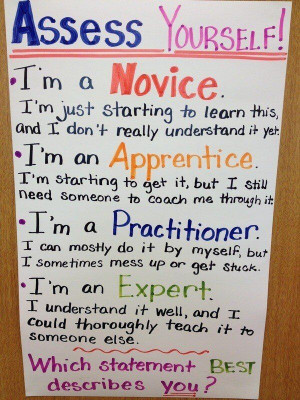 love this self assessment strategy so i can classify my skills at my ...
