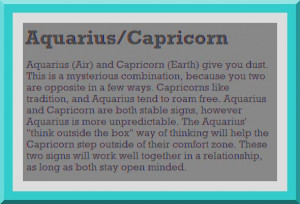 Capricorn and Aquarius Love Match