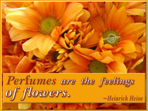 Flower Quotes About Life: Flowers Quotes And Picture Of The Orange ...