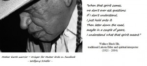 Wallace Black Elk wisdom