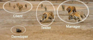 ... · software development ecosystem : funny · software engineer humor