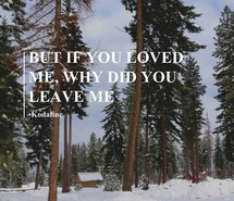 love, lyrics, quotes, sad, snow, songs, trees, kodaline