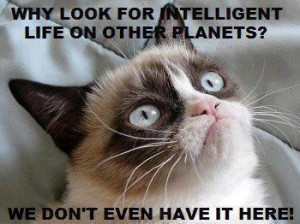 Grumpy Cat quotes... For the best jokes and funny pictures visit www ...