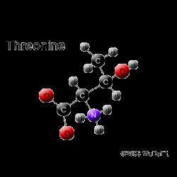 Threonine Amino Acid Structure