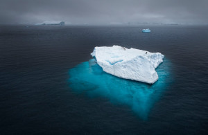 Adrift: Penguins adrift on iceberg during a heavy snow storm in ...