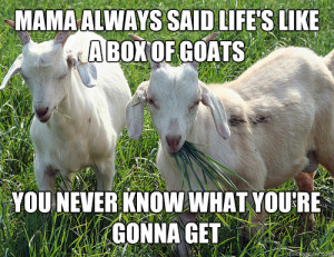 Funny Quotes About Goats
